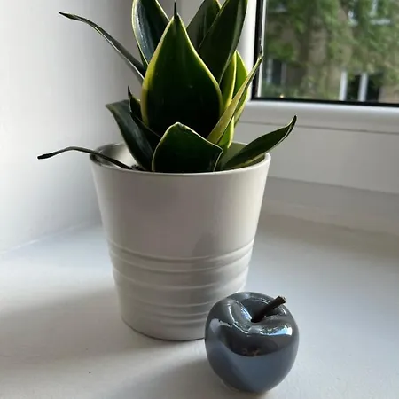 Manufaktura * Łódź