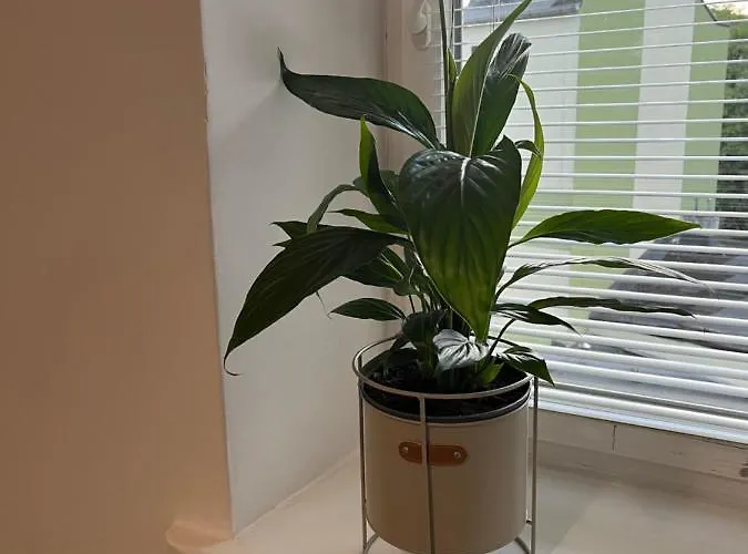 Manufaktura Lejlighedshotel