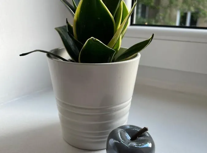 Manufaktura * Łódź